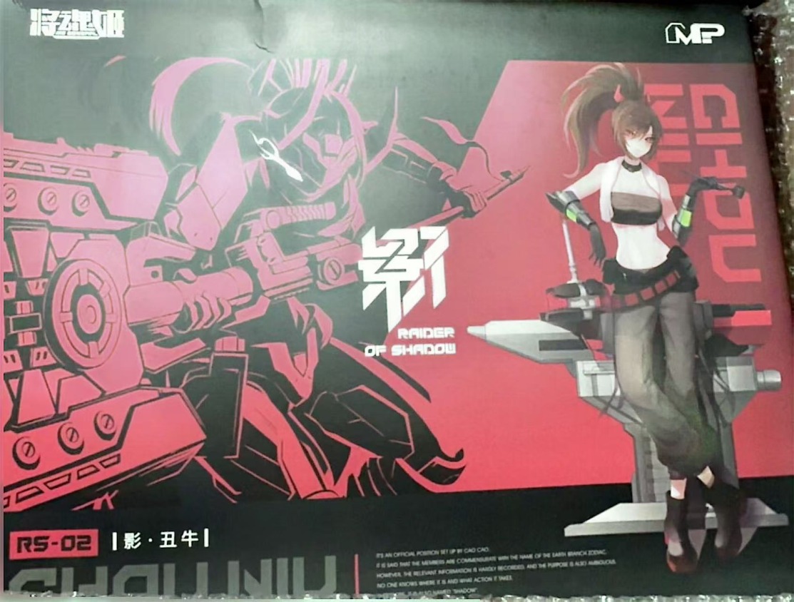 MS GENERAL Raider of Shadow RS – Model Kit Ms General recenzja i cena