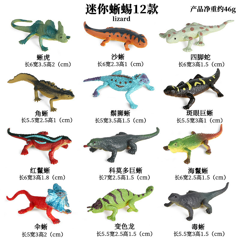 Symulacja wczesnej edukacji dz – Model Kit Dinosaur Bandai recenzja i cena