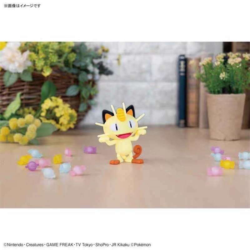Oryginalny Bandai Pokemon Plam – Model Kit Quick Piplup recenzja i cena