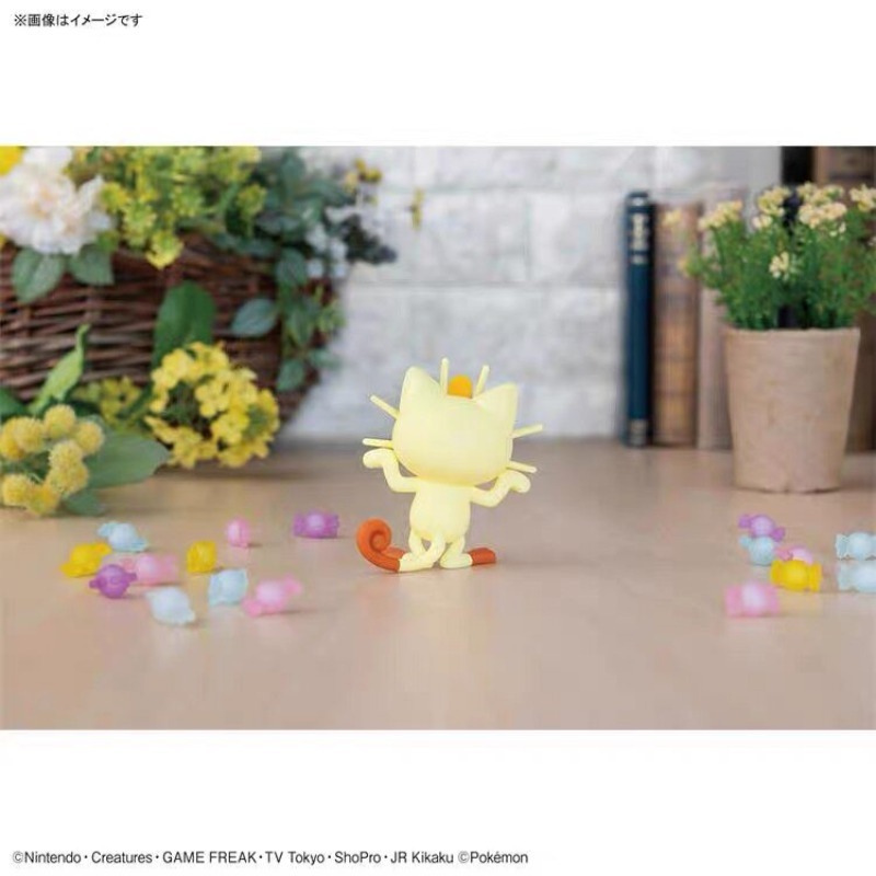 Oryginalny Bandai Pokemon Plam – Model Kit Quick Piplup recenzja i cena