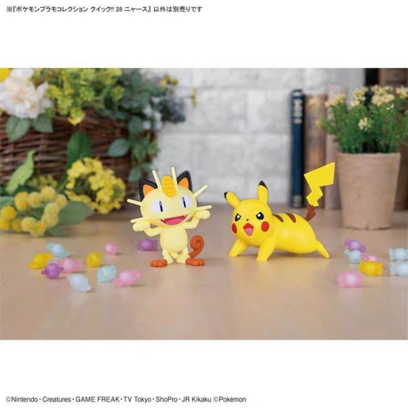 Oryginalny Bandai Pokemon Plam – Model Kit Quick Piplup recenzja i cena