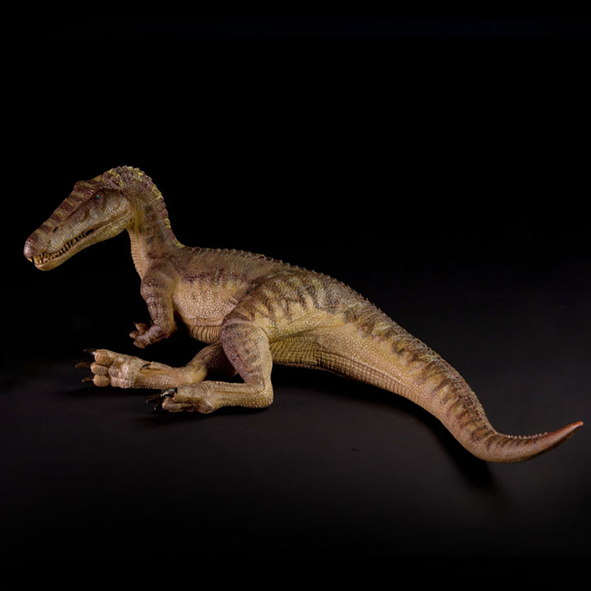 Wyprzedaż Jurajski Nanmu Baryo – Model Kit Dinosaur Bandai recenzja i cena