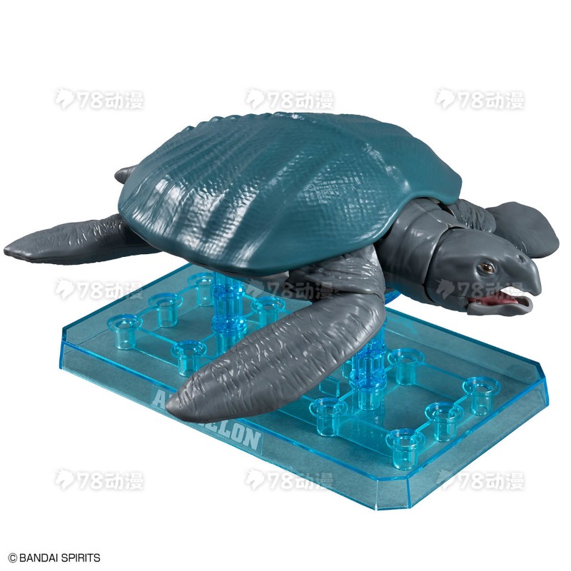 Oryginalny zestaw modelarski B – Model Kit Dinosaur Bandai recenzja i cena