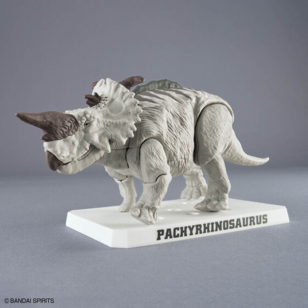 Na Stanie Oryginalny Zestaw Mo – Model Kit Dinosaur Bandai recenzja i cena